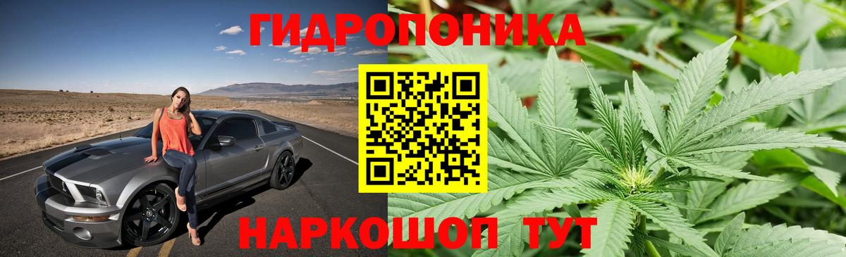 Марихуана гибрид  МАРИХУАНА планчик  Канабис White Widow  Конопля OG Kush  Сургут  Вход с VPN 